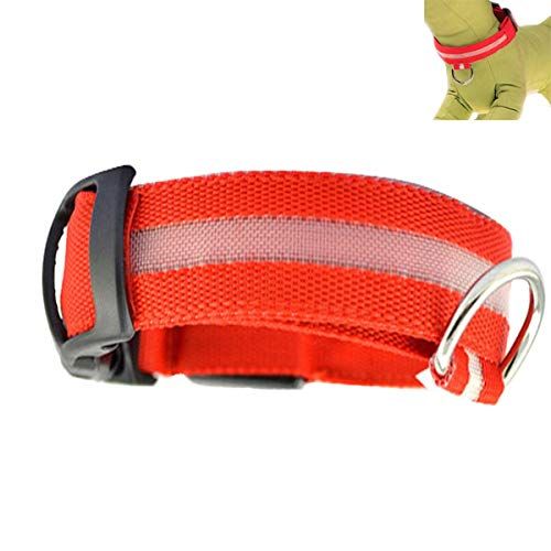 Collar para Mascotas con Luz Led -Rojo